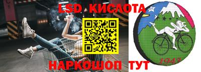 наркотики Кингисепп