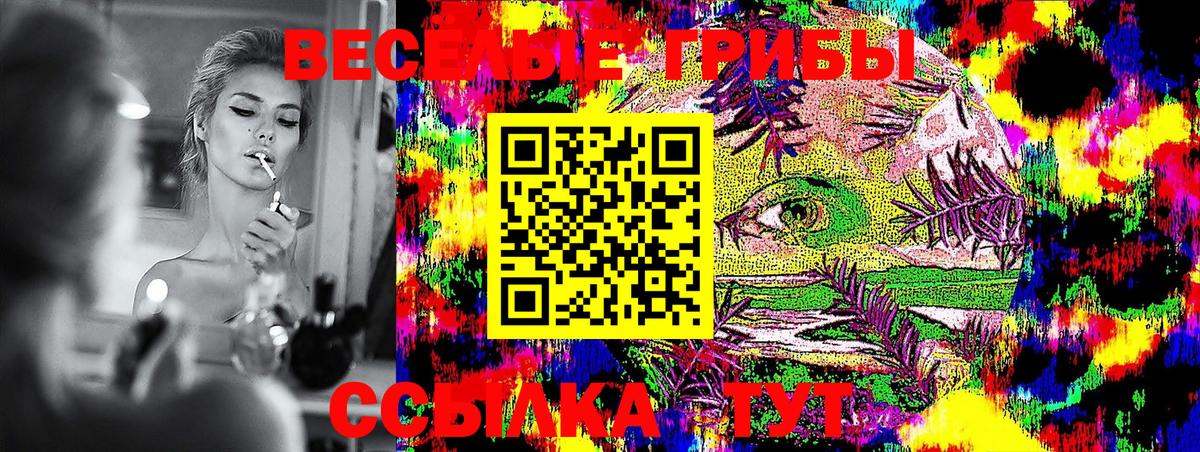 Псилоцибиновые грибы ЛСД  Вход с VPN  Моршанск 