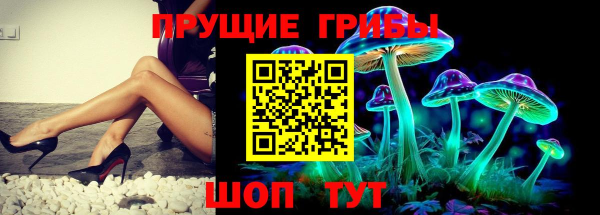 Псилоцибиновые грибы GOLDEN TEACHER Моршанск